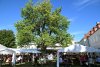 Gartenfest 2026 DSC 8409